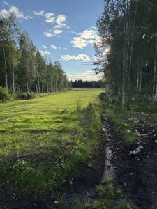 Hål 4 från Tee
